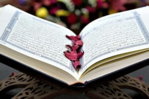 Read more about the article Al Haajar TV Quran Competition